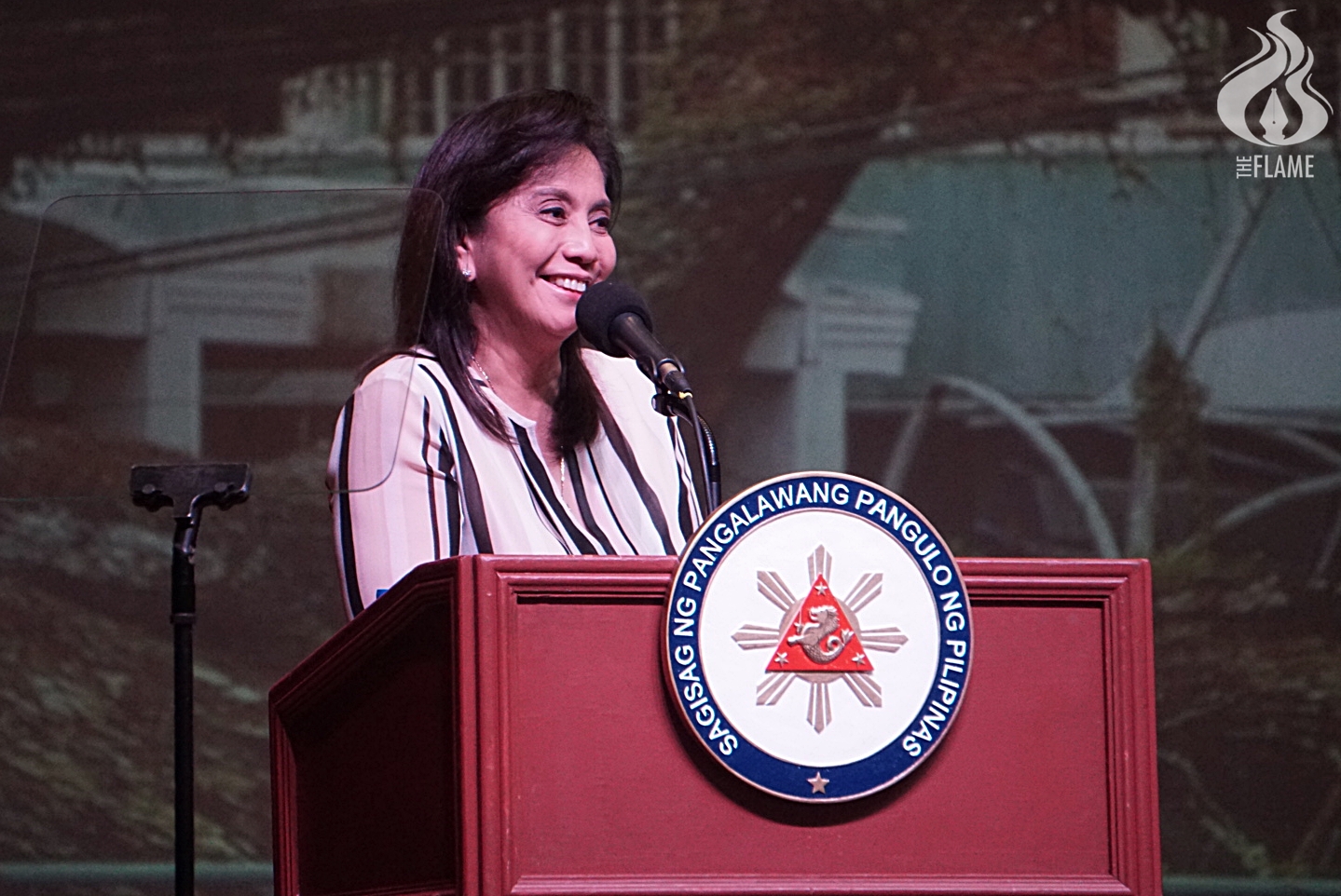 Robredo: Youth can help fight climate change