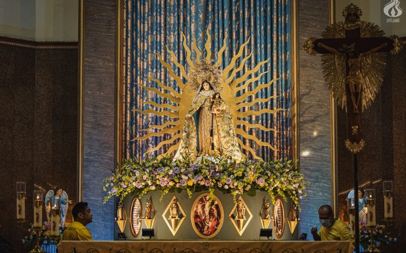 ‘Bring back the rosary at home, experience peace as a family’