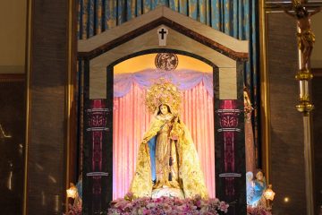 ‘True devotees of Mary spread the word of Jesus’