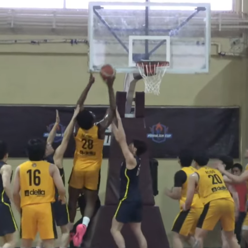 Growling Tigers slip to silver after loss to Tokai Seagulls in Pinoyliga Global