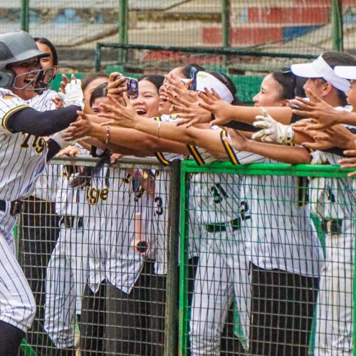 Tiger Softbelles topple Maroons for first time since 2024