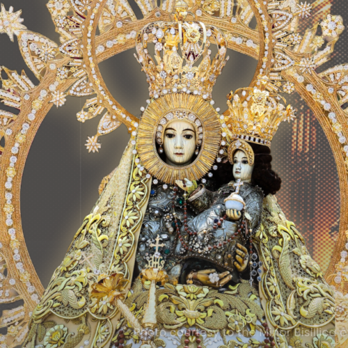 Let Marian devotion lead to ‘Marian action,’ Catholics urged