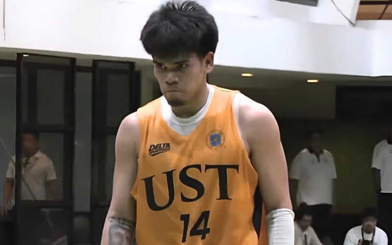 Llemit leads Tigers to fend off Blue Eagles for NSAC semis berth