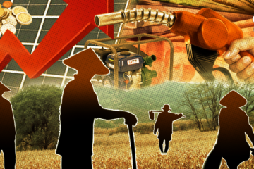 Stumble or gamble? Soaring oil prices leave farmers with few, painful options
