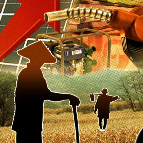 Stumble or gamble? Soaring oil prices leave farmers with few, painful options