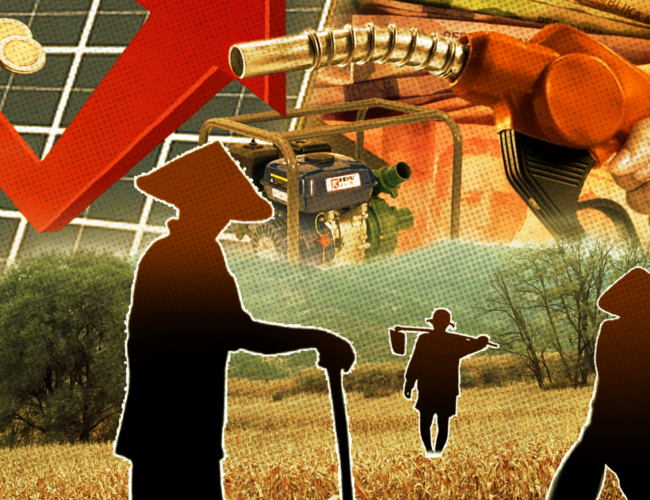 Stumble or gamble? Soaring oil prices leave farmers with few, painful options