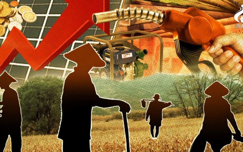 Stumble or gamble? Soaring oil prices leave farmers with few, painful options