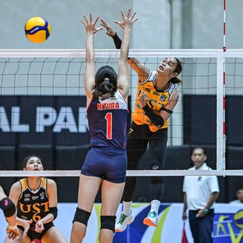 Tigresses brush off Lady Knights to boost V-League playoff hopes