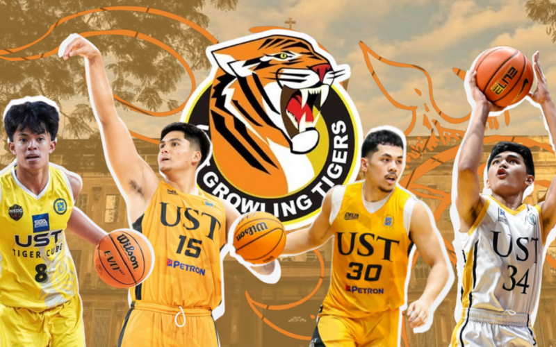 Homegrown, one-and-done rookies look to forge own identities for Tigers in Season 89