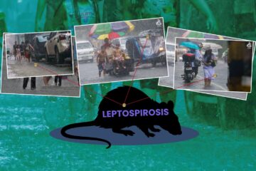 Manila logs nearly 500 new leptospirosis cases after rainy August