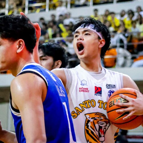 Growling Tigers maul Blue Eagles at home to end round one